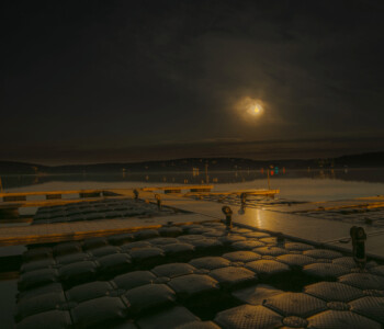 Floating docks on a calm lake at night with the moon shining brightly and reflected on the water's surface.